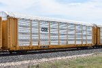 TTGX 709483